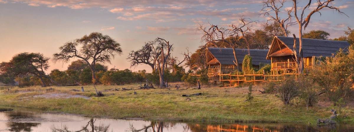 Best midrange Botswana safari lodges in Chobe national park